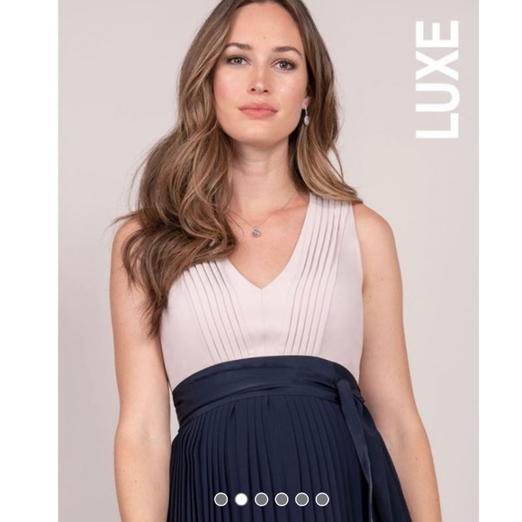 Seraphine Pleated Maternity/Nursing Dress - Picture 4 of 15